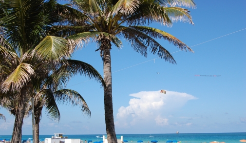 Florida 2009 026.jpg